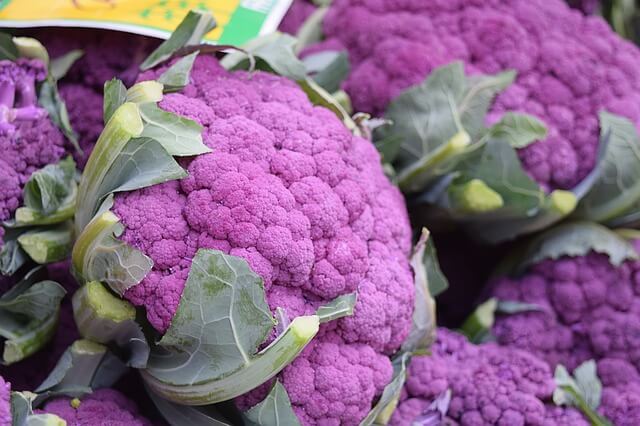 Purple Cauliflower Soup [Vegan, Grain-Free]